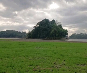 Kemarau Panjang Surutkan Air Situ Gede, Hamparan Rumput Hijau Jadi Daya Tarik Baru