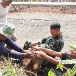 Semangat Kebersamaan Menguat, Satgas TMMD dan Warga Bersihkan Jalur Pembangunan TPT
